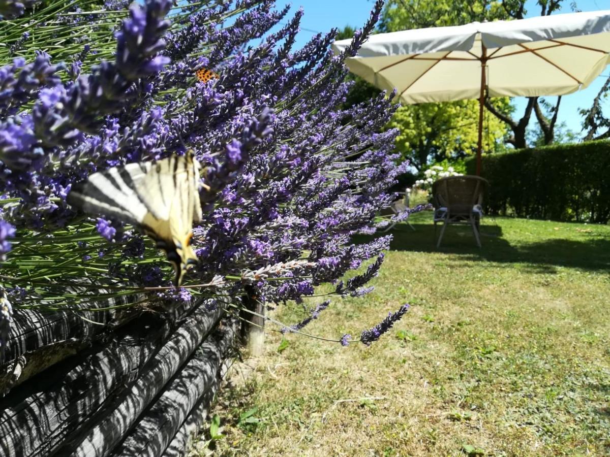 Sotto La Luna Bruna B&B Cocconato Bagian luar foto
