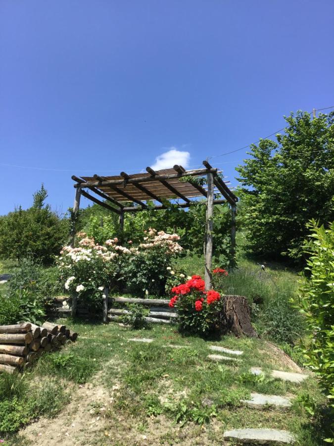 Sotto La Luna Bruna B&B Cocconato Bagian luar foto