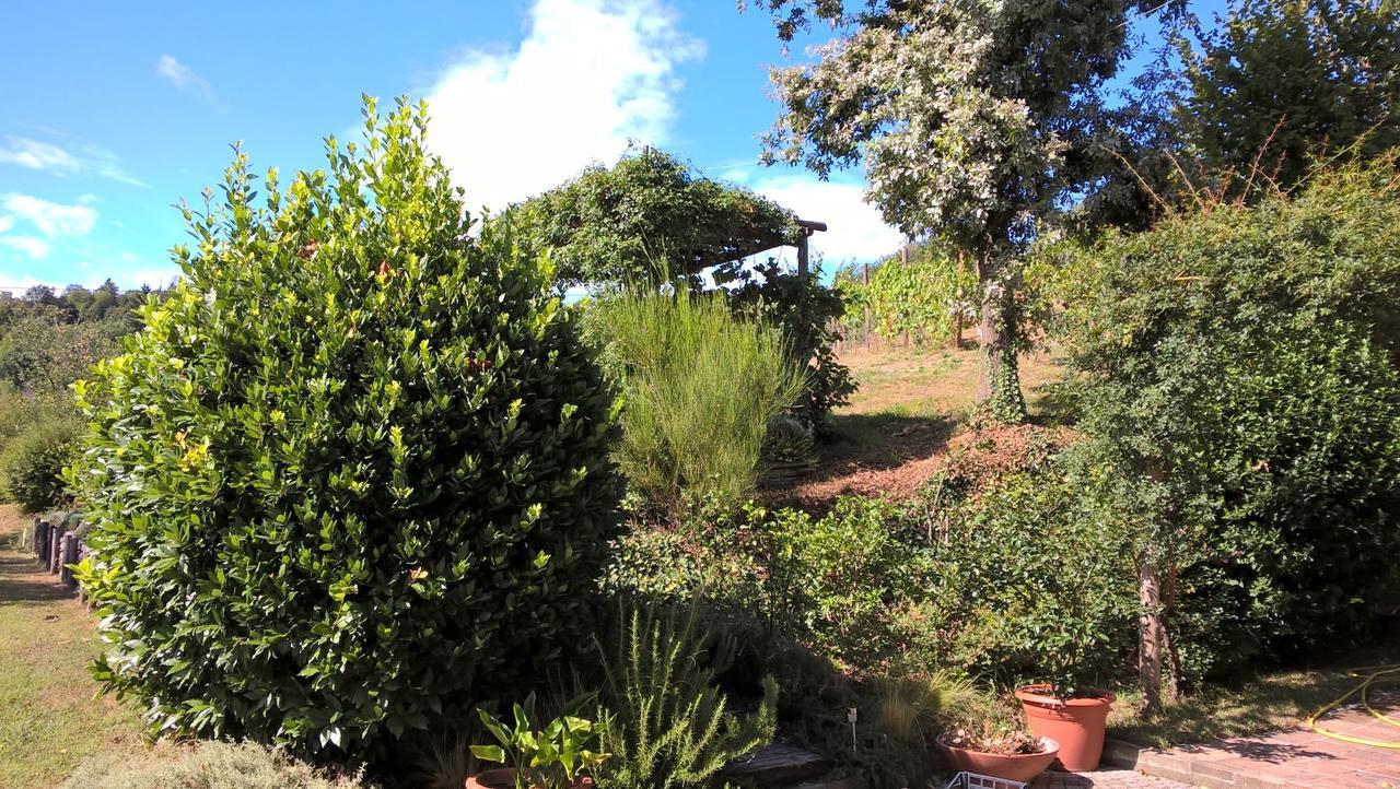 Sotto La Luna Bruna B&B Cocconato Bagian luar foto