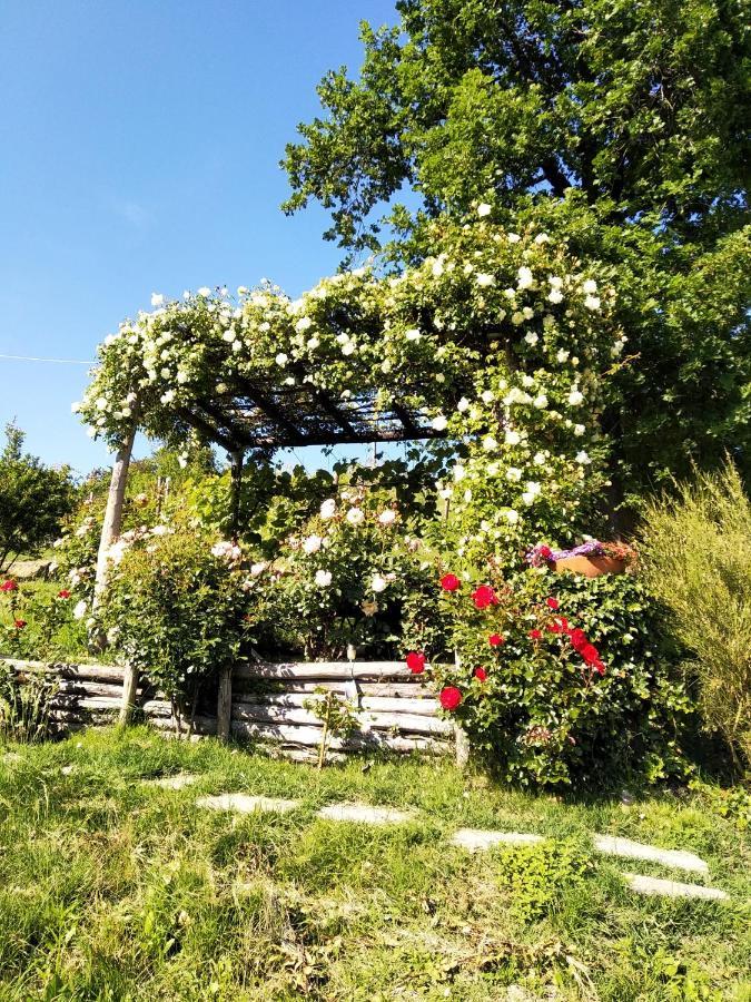 Sotto La Luna Bruna B&B Cocconato Bagian luar foto